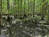  Laurel Drive (Tract: Surry Seward-Scott) - Photo 23