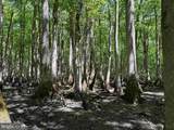  Laurel Drive (Tract: Surry Seward-Scott) - Photo 24
