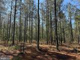  Laurel Drive (Tract: Surry Seward-Scott) - Photo 26