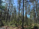  Laurel Drive (Tract: Surry Seward-Scott) - Photo 27