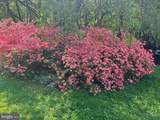 6008 Fork Woods Road - Photo 9