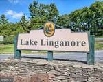 10269 White Pelican Way - Photo 42
