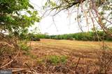 16919 Shaffer Road - Photo 67