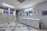 213 Chestnut Street - Photo 19