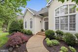 8277 Roxborough Loop - Photo 2