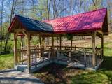 57 Lake Lane - Photo 54