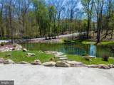 57 Lake Lane - Photo 64