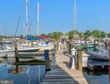8 Spa Creek Landing - Photo 32