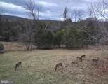 40989 Redwing Song Lane - Photo 42