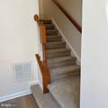 22851 Chestnut Oak Terrace - Photo 20