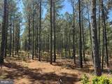  Laurel Springs Road (Tract: Surry Dr. Williams-2) - Photo 10