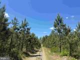  Laurel Springs Road (Tract: Surry Dr. Williams-2) - Photo 11