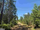  Laurel Springs Road (Tract: Surry Dr. Williams-2) - Photo 12
