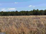  Laurel Springs Road (Tract: Surry Dr. Williams-2) - Photo 13