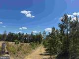  Laurel Springs Road (Tract: Surry Dr. Williams-2) - Photo 15
