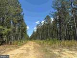  Laurel Springs Road (Tract: Surry Dr. Williams-2) - Photo 16