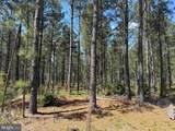  Laurel Springs Road (Tract: Surry Dr. Williams-2) - Photo 17