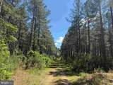  Laurel Springs Road (Tract: Surry Dr. Williams-2) - Photo 19