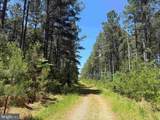  Laurel Springs Road (Tract: Surry Dr. Williams-2) - Photo 2