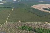  Laurel Springs Road (Tract: Surry Dr. Williams-2) - Photo 4
