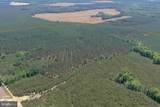  Laurel Springs Road (Tract: Surry Dr. Williams-2) - Photo 5