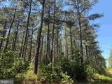  Laurel Springs Road (Tract: Surry Dr. Williams-2) - Photo 9