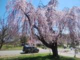 5008 Regina Drive - Photo 4