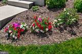 200 Hosta Way - Photo 5