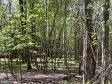  6.89 ACRES WOODLANDS HILL DR Drive - Photo 4