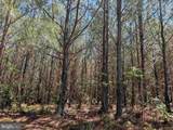  Laurel Springs Road (Tract: Dr. Williams-1) - Photo 10