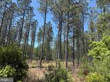  Laurel Springs Road (Tract: Dr. Williams-1) - Photo 11