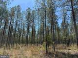 Laurel Springs Road (Tract: Dr. Williams-1) - Photo 12
