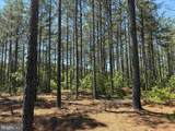  Laurel Springs Road (Tract: Dr. Williams-1) - Photo 13