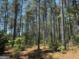  Laurel Springs Road (Tract: Dr. Williams-1) - Photo 14