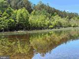  Laurel Springs Road (Tract: Dr. Williams-1) - Photo 15