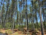  Laurel Springs Road (Tract: Dr. Williams-1) - Photo 16