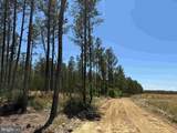  Laurel Springs Road (Tract: Dr. Williams-1) - Photo 17