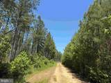  Laurel Springs Road (Tract: Dr. Williams-1) - Photo 2