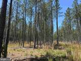  Laurel Springs Road (Tract: Dr. Williams-1) - Photo 3