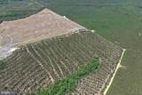  Laurel Springs Road (Tract: Dr. Williams-1) - Photo 5