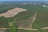  Laurel Springs Road (Tract: Dr. Williams-1) - Photo 6