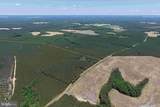  Laurel Springs Road (Tract: Dr. Williams-1) - Photo 7