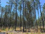  Laurel Springs Road (Tract: Dr. Williams-1) - Photo 8