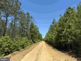  Laurel Springs Road (Tract: Dr. Williams-1) - Photo 9