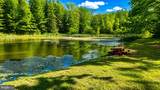 Lot 168 Forest Ridge Trail - Photo 8