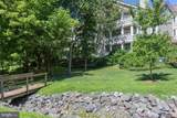 14321 Climbing Rose Way - Photo 53