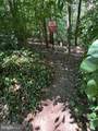 6324 Chimney Wood Court - Photo 9