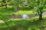 129 Orchard - Photo 4