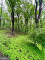  Carsons Way - Photo 4