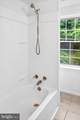 407 Lynn Avenue - Photo 16